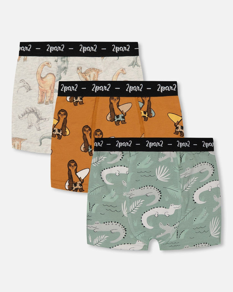 Kid & Toddler Boy Underwear