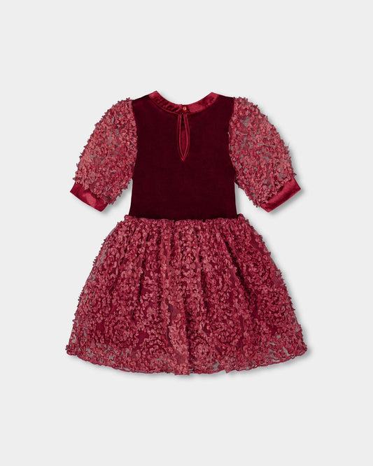 Puff Sleeve Bi-Material Velour And Lace Dress Red-1