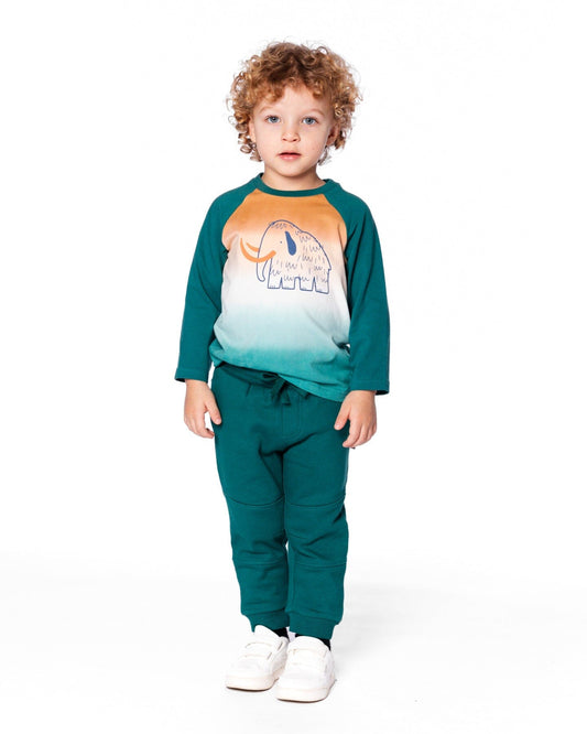 Organic Cotton Jersey Raglan Sleeve T-Shirt Forest Green-1