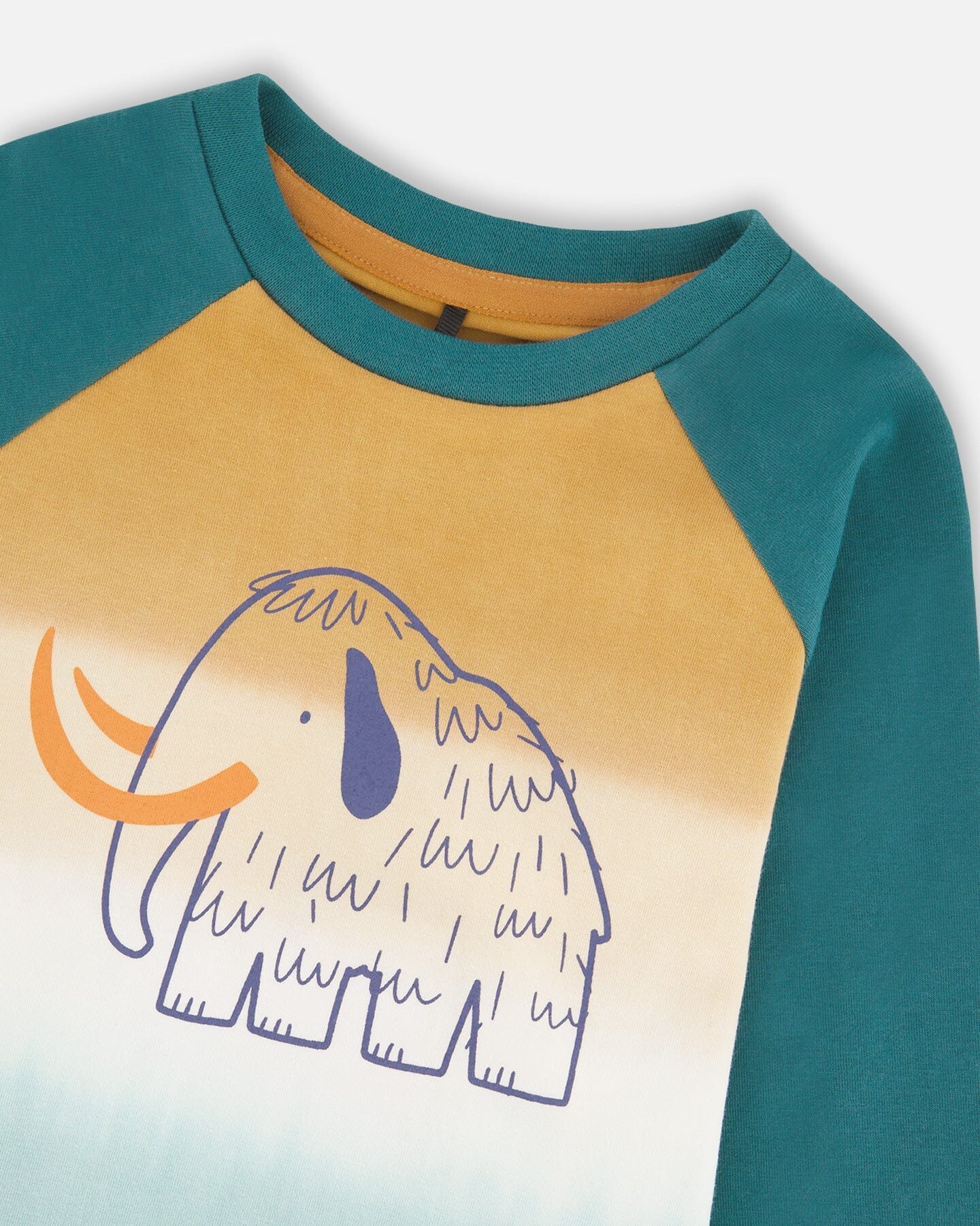 Organic Cotton Jersey Raglan Sleeve T-Shirt Forest Green-3