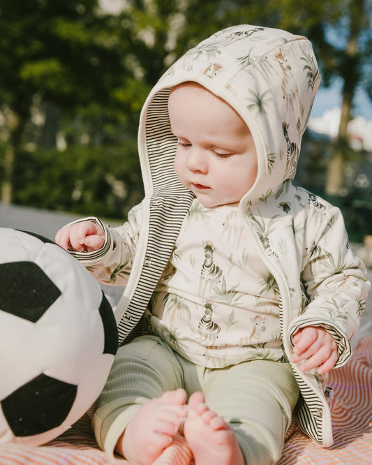 Organic Cotton Jersey T-Shirt And Cotton Rib Pants Set Beige Zebra Print And Sage Green-1