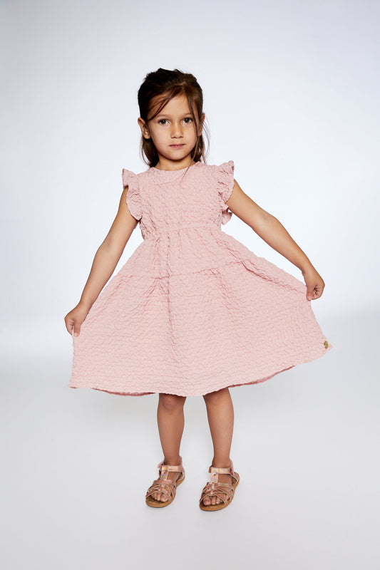 Textured Poplin Dress Silver Pink-1