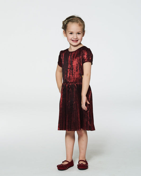 Short Sleeve Dress With Pleated Skirt Metallic Red-1