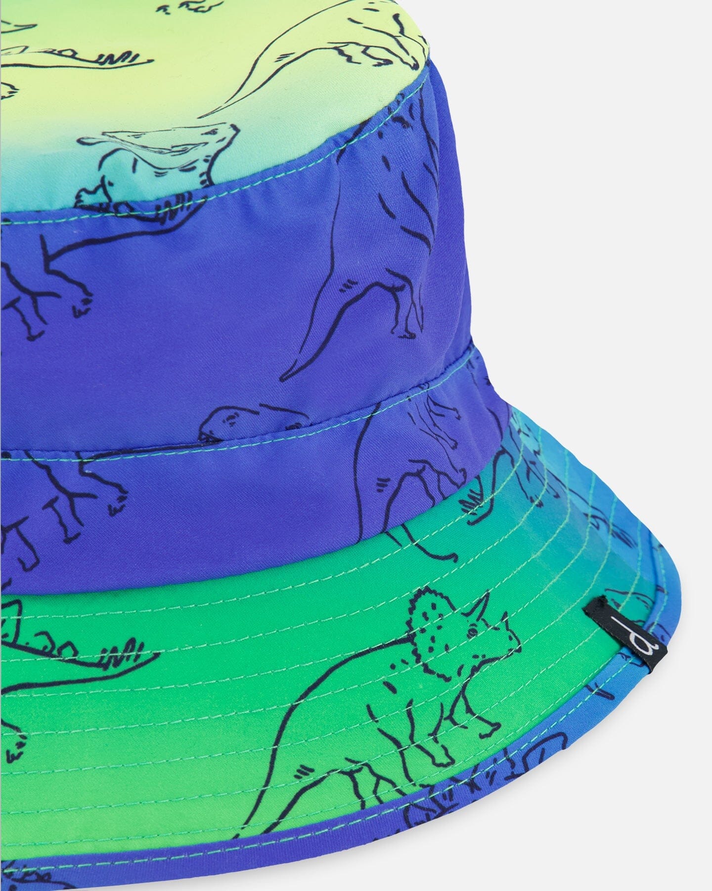 Printed Beach Hat Vibrant Blue And Green Dino-4