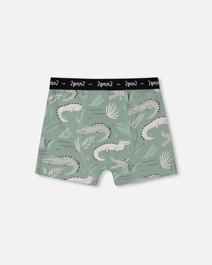Printed Organic Cotton Boxer Shorts Light Sage And Gray Crocodile-0