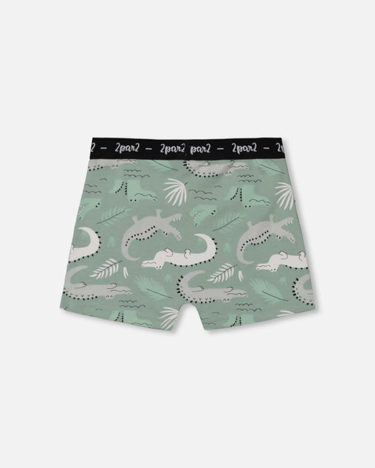 Printed Organic Cotton Boxer Shorts Light Sage And Gray Crocodile-1