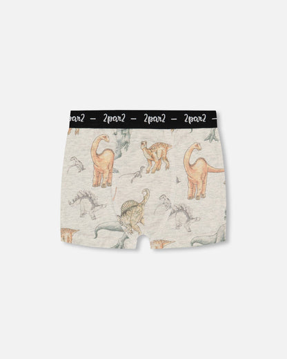 Printed Organic Cotton Boxer Shorts Dinosaur On Mottled And Tan Background-0