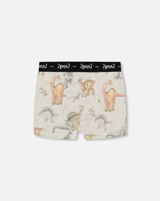 Printed Organic Cotton Boxer Shorts Dinosaur On Mottled And Tan Background-0