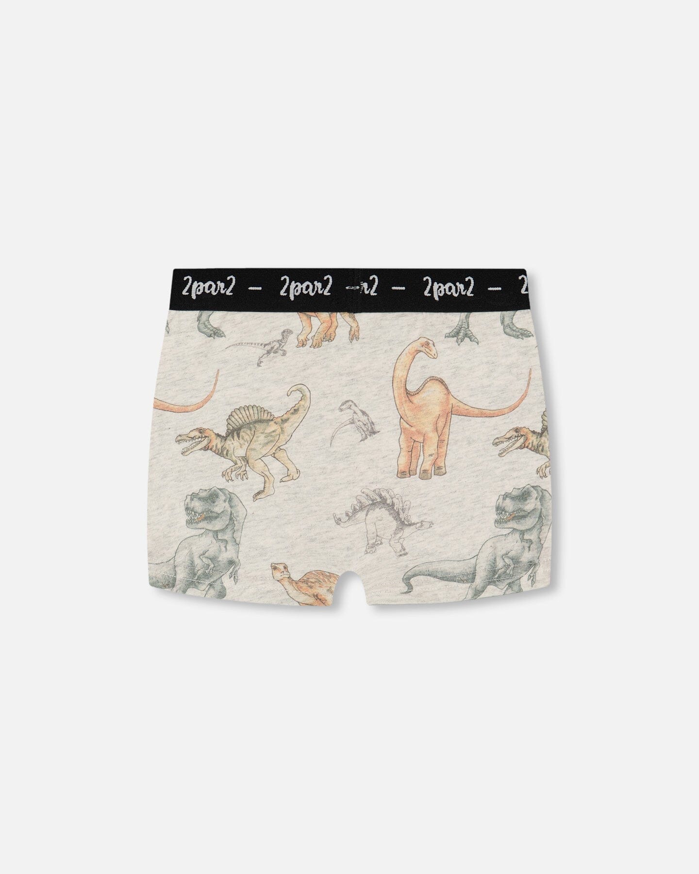 Printed Organic Cotton Boxer Shorts Dinosaur On Mottled And Tan Background-1