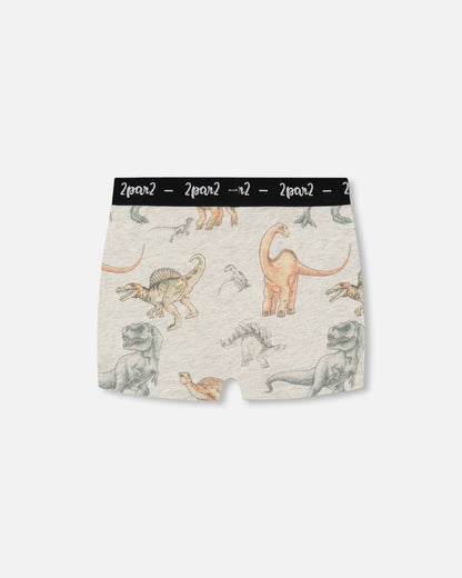 Printed Organic Cotton Boxer Shorts Dinosaur On Mottled And Tan Background-1