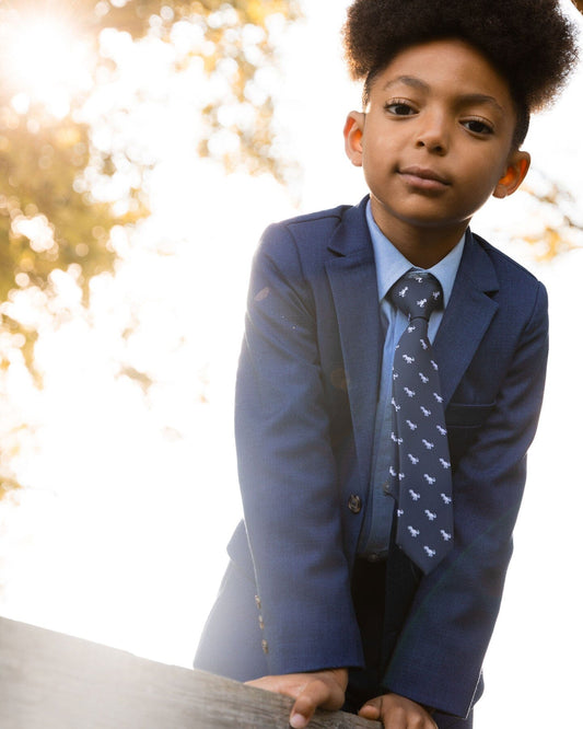 Neck Tie Navy Blue And Dino-1