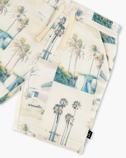 Printed French Terry Short Beige Palm Tree And Teal-4