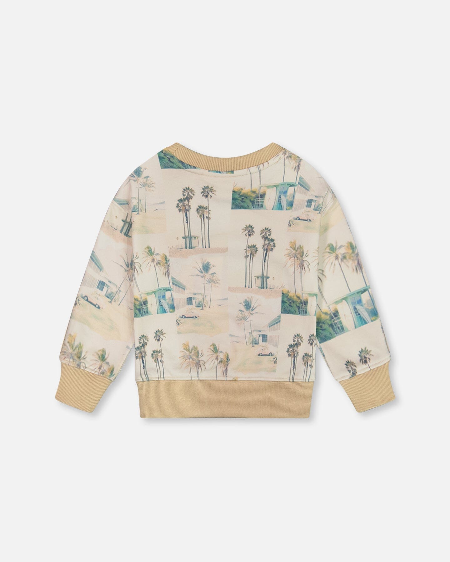 Printed Pullover Sweatshirt Beige Palm Tree And Teal-3