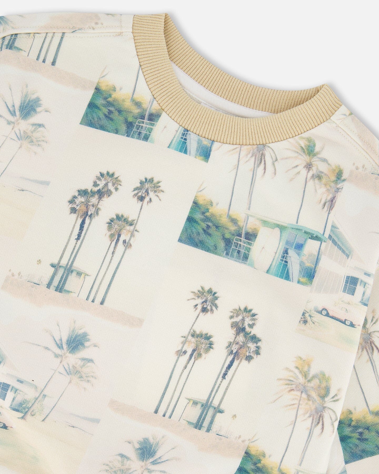 Printed Pullover Sweatshirt Beige Palm Tree And Teal-4