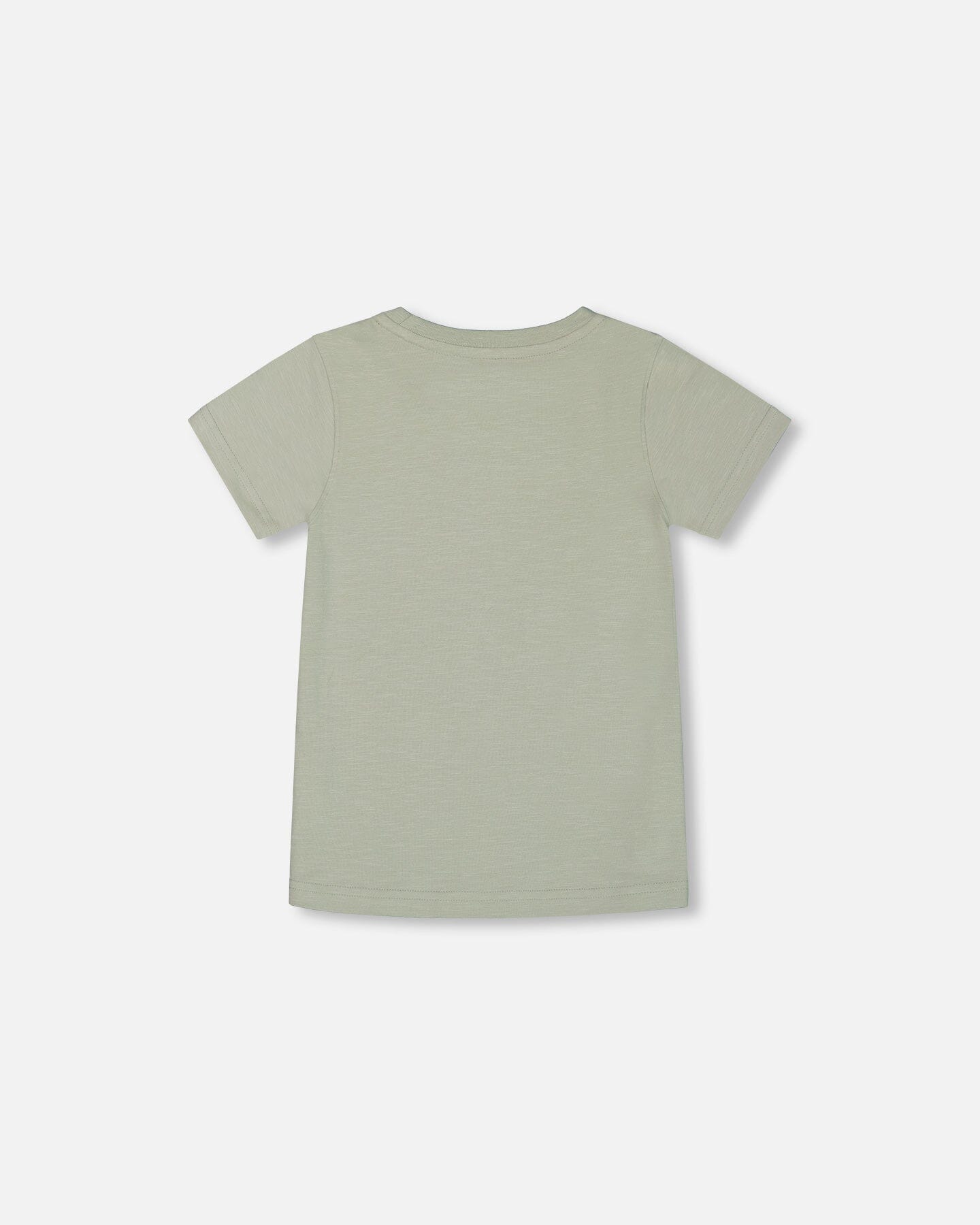 Short Sleeve Organic Cotton Graphic Tee Sage And Multi-2