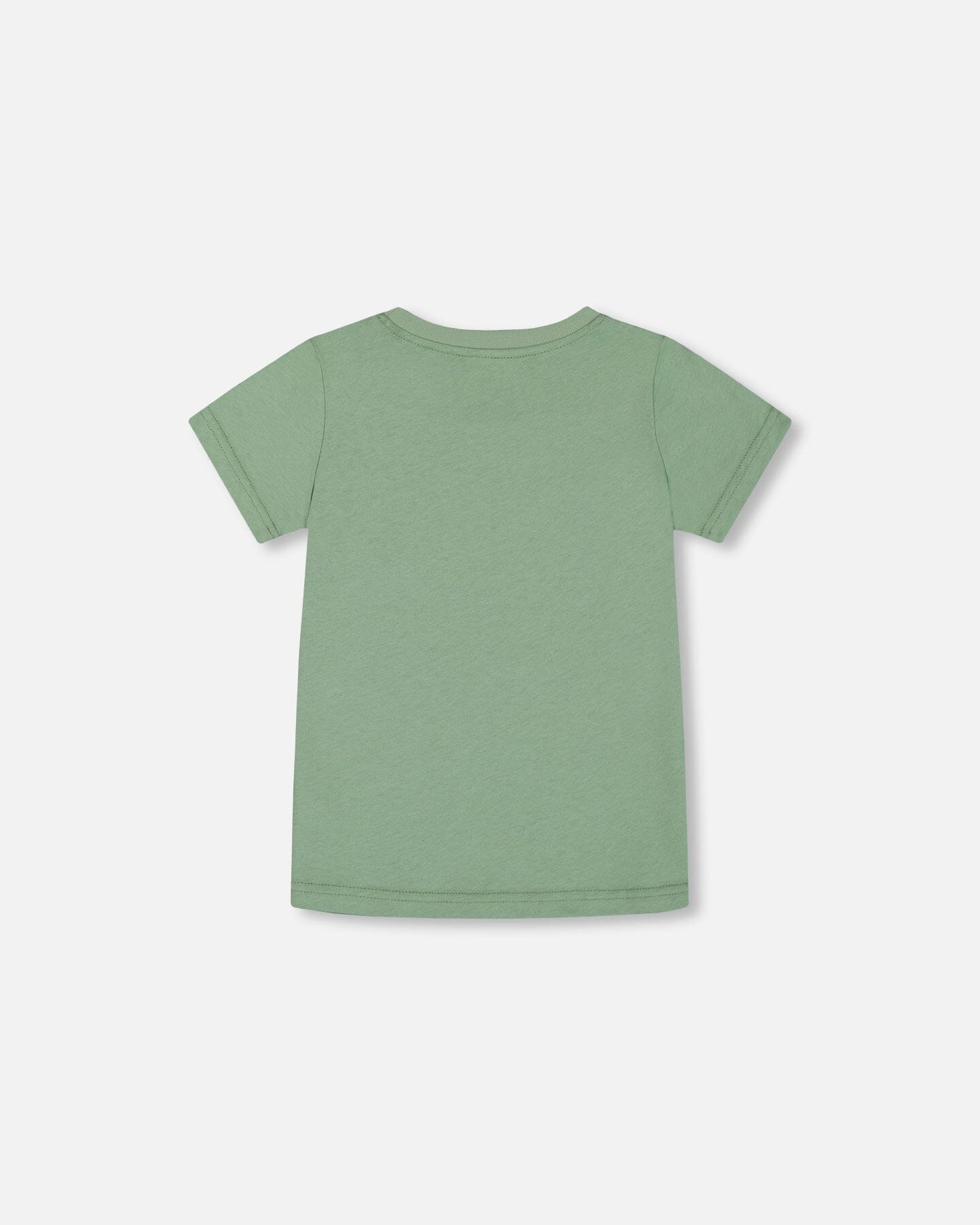 Organic Cotton Graphic Tee Sage And Multi-1