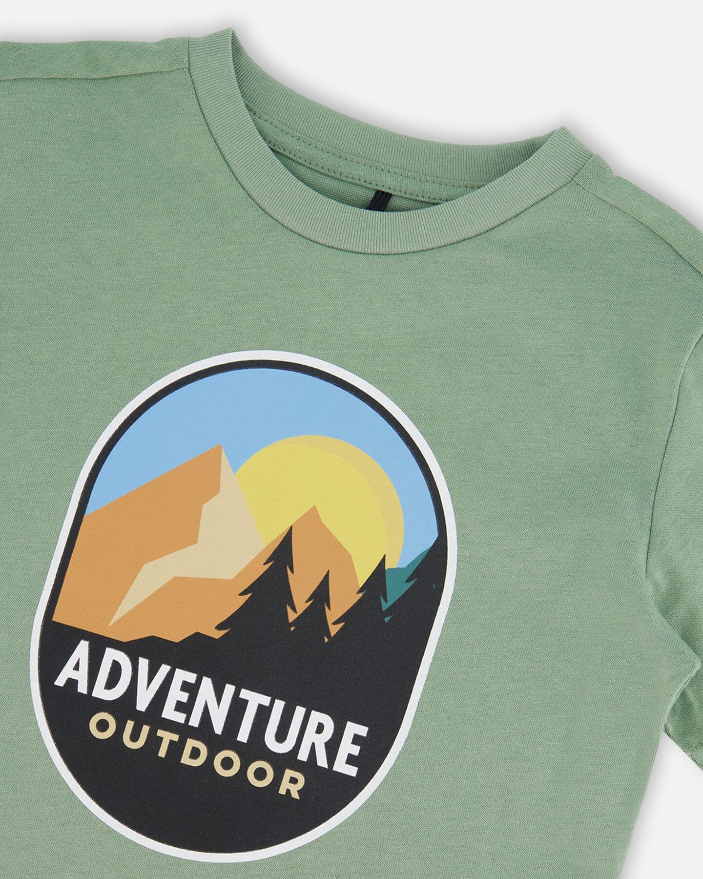Organic Cotton Graphic Tee Sage And Multi-2