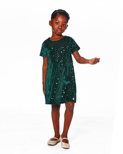 Velvet Short Sleeve Dress Forest Green-1