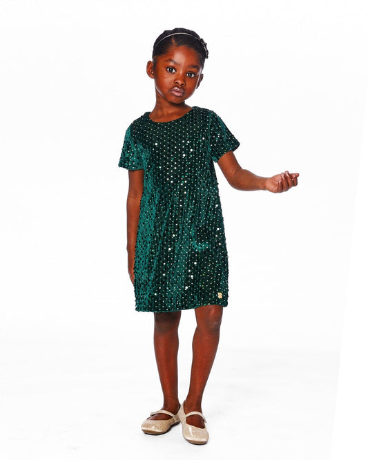 Velvet Short Sleeve Dress Forest Green-1