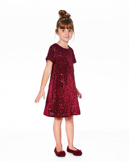 Velvet Short Sleeve Dress Red-1