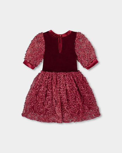 Puff Sleeve Bi-Material Velour And Lace Dress Red-1