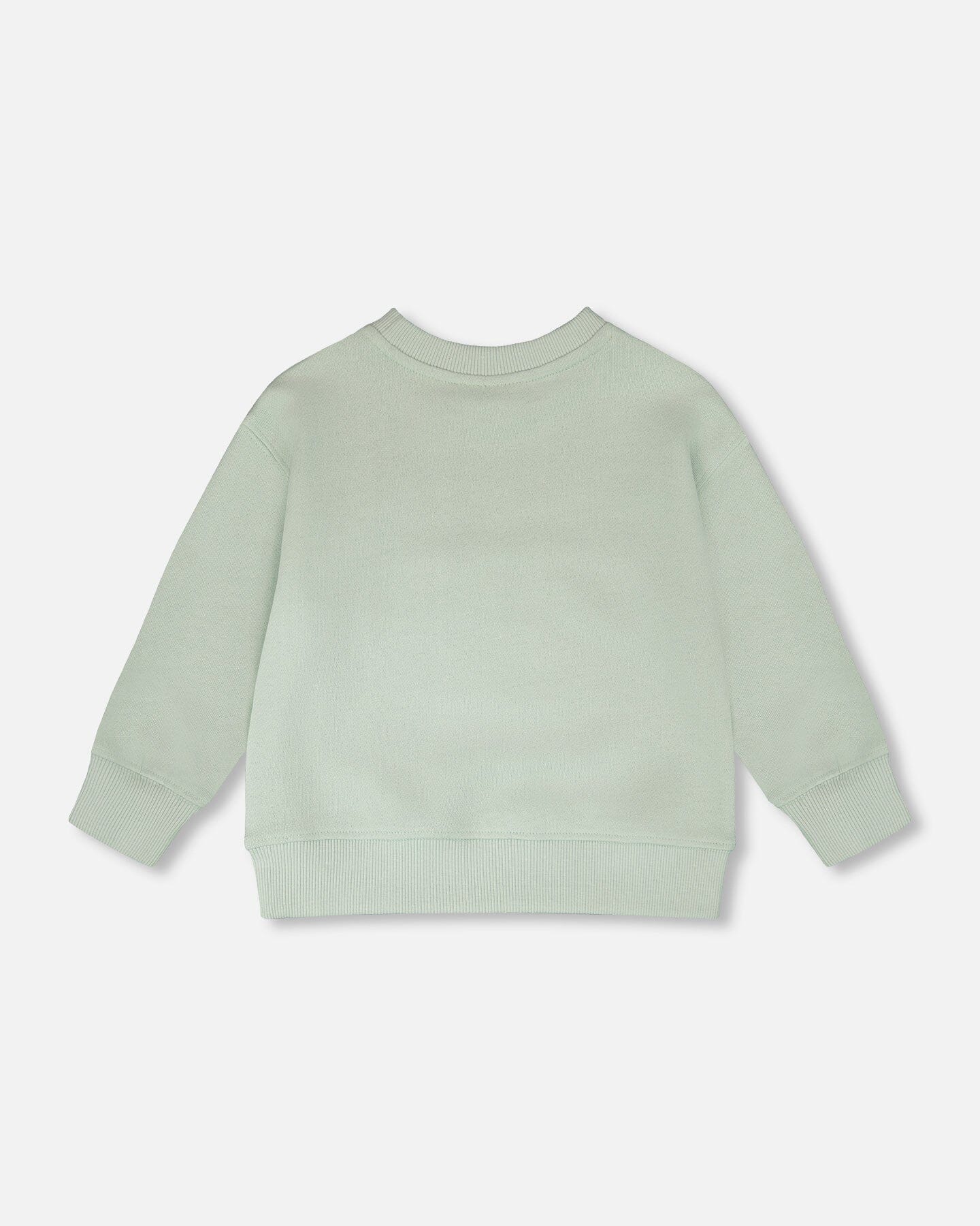 French Terry Sweatshirt Mint Green-2