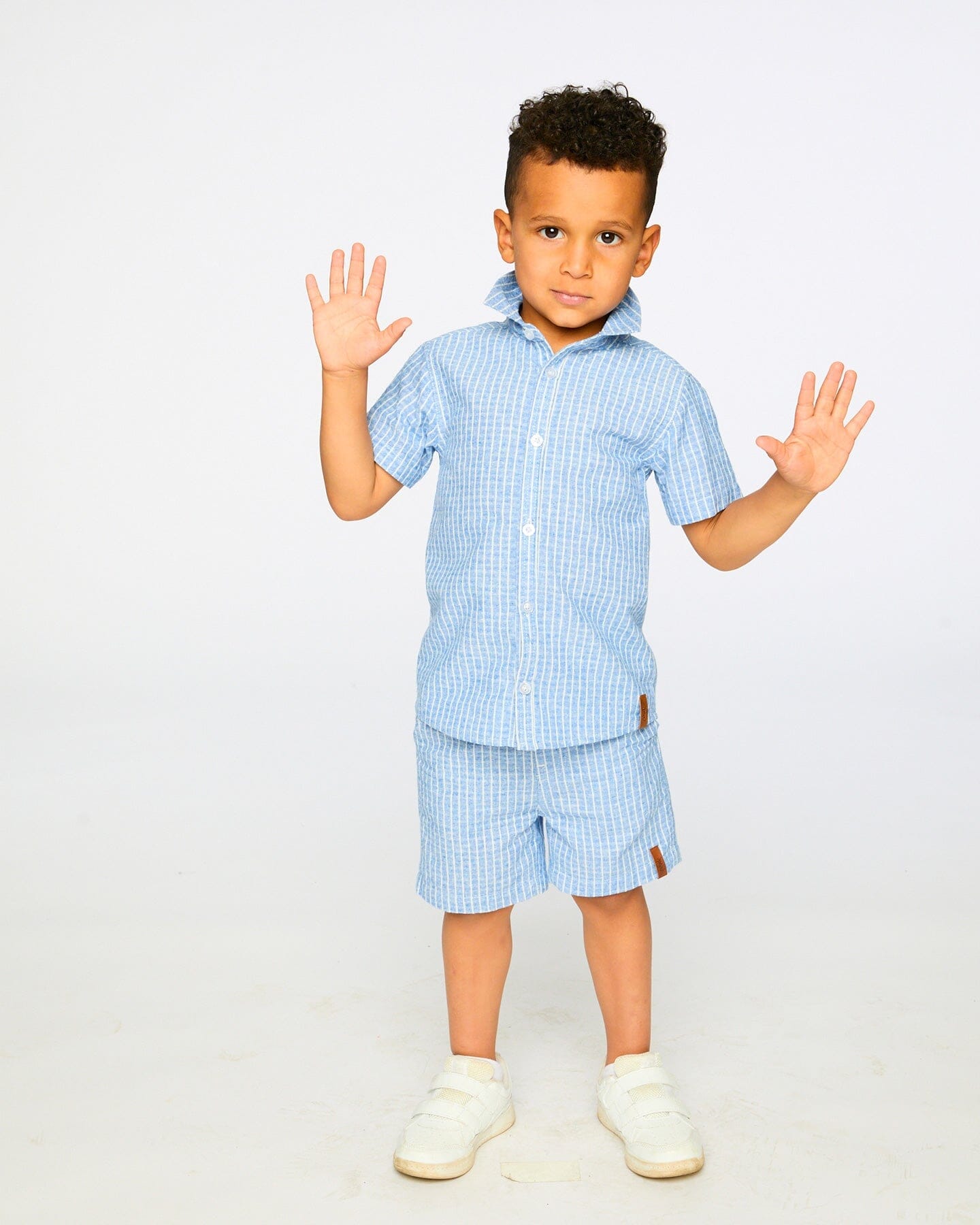 Printed Chambray Short-Sleeve Shirt Blue Denim Stripes-1