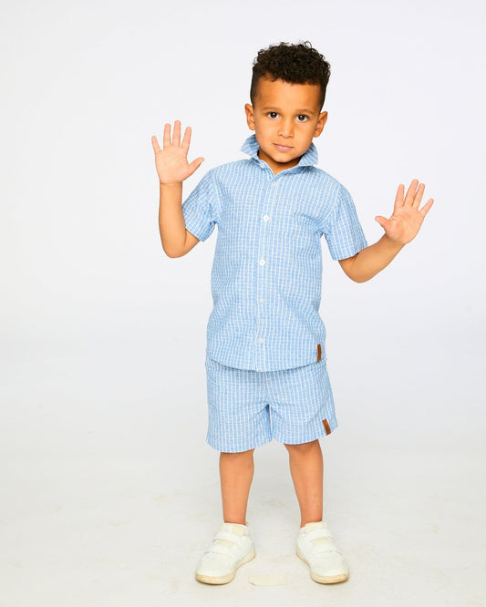 Printed Chambray Short-Sleeve Shirt Blue Denim Stripes-1