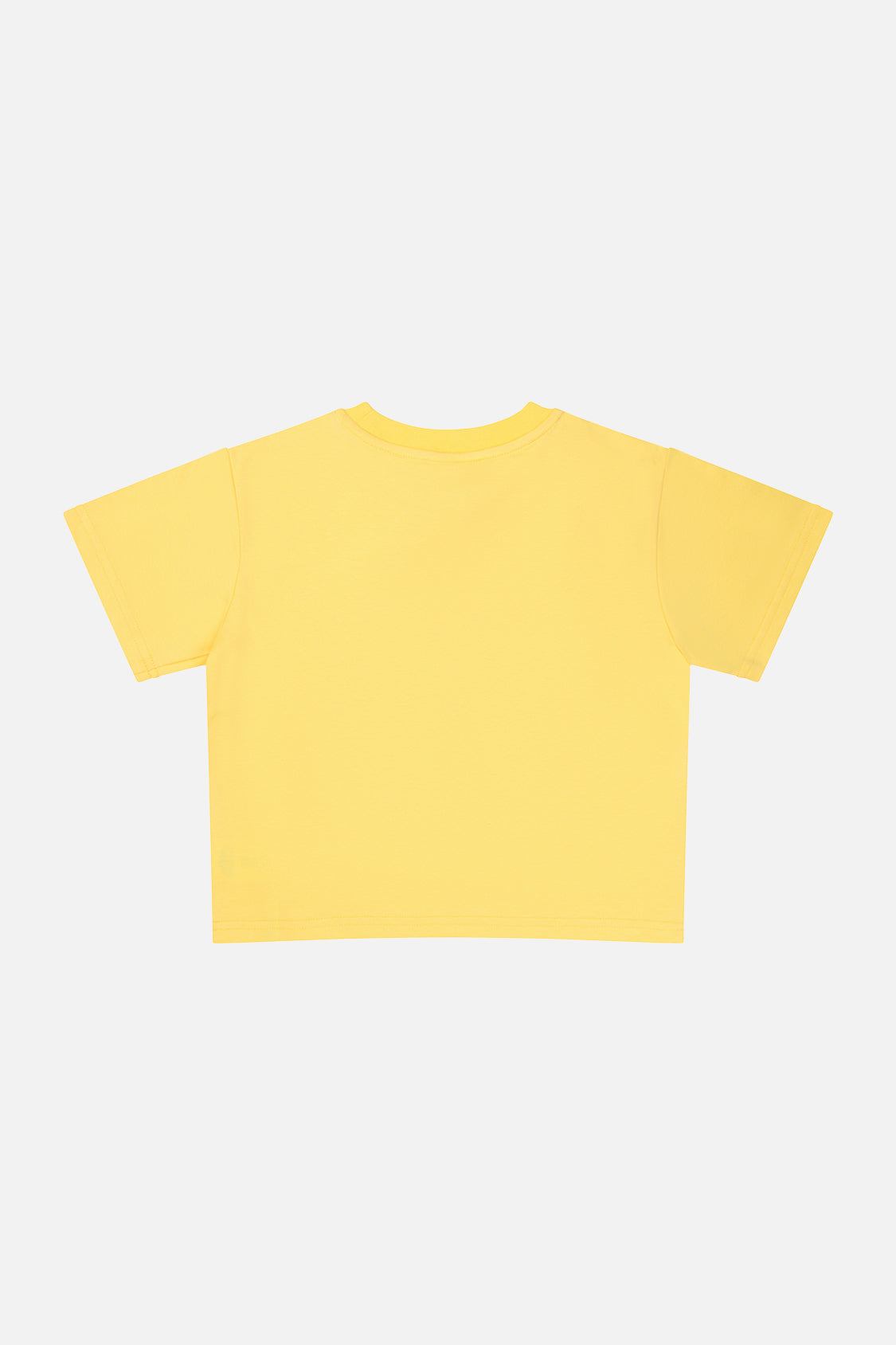 40Th Anniversary Graphic T-Shirt Honey Yellow-2