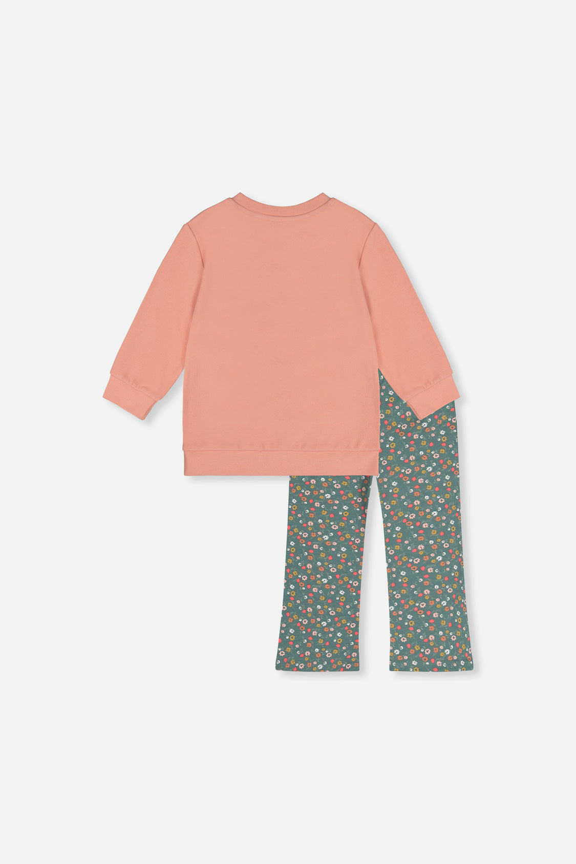 Tunic And Leggings Set Pale Pink And Green Floral Print-2