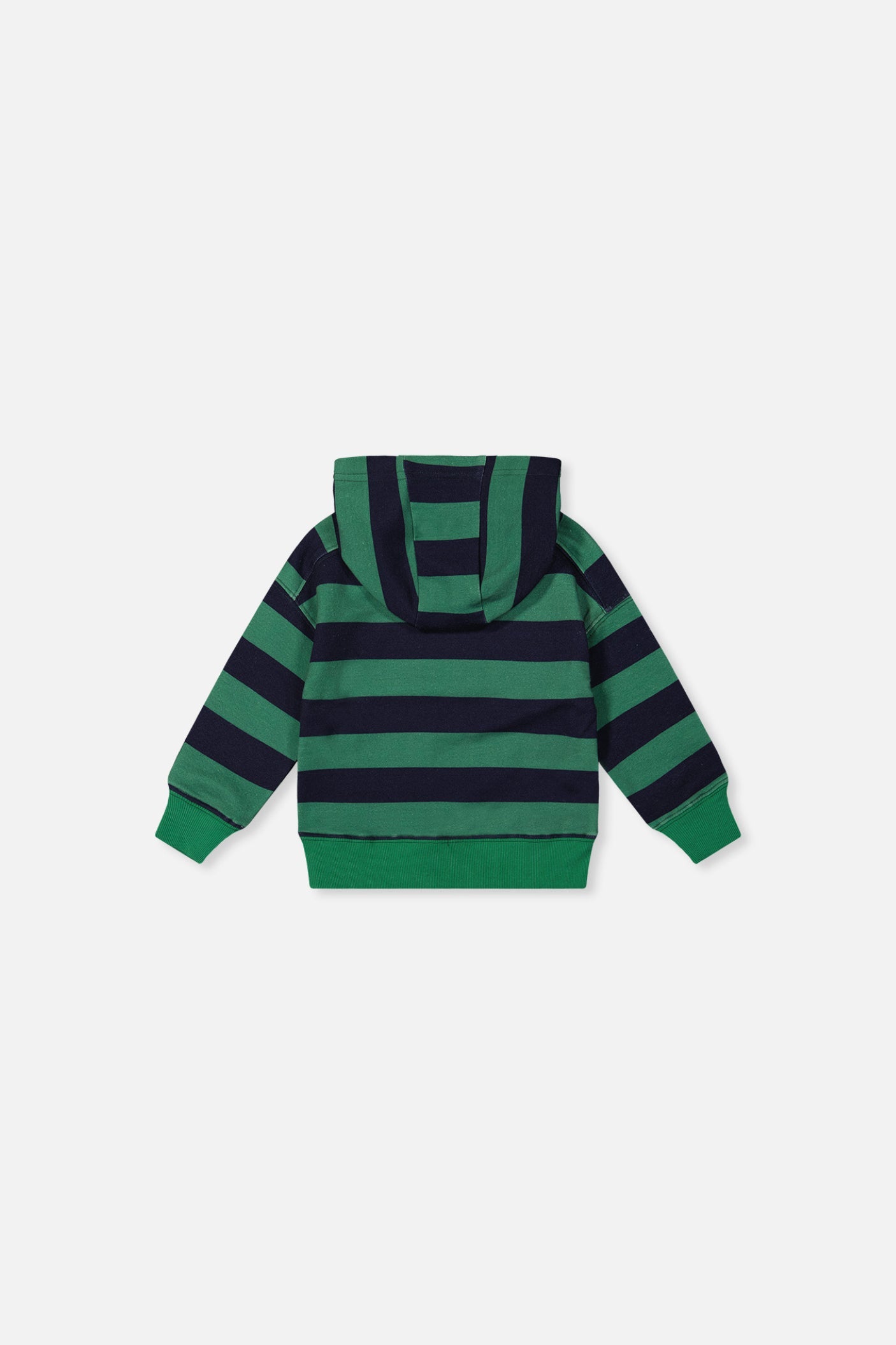 Baby Fleece Hoodie With Appliqué Blue Striped Green-2