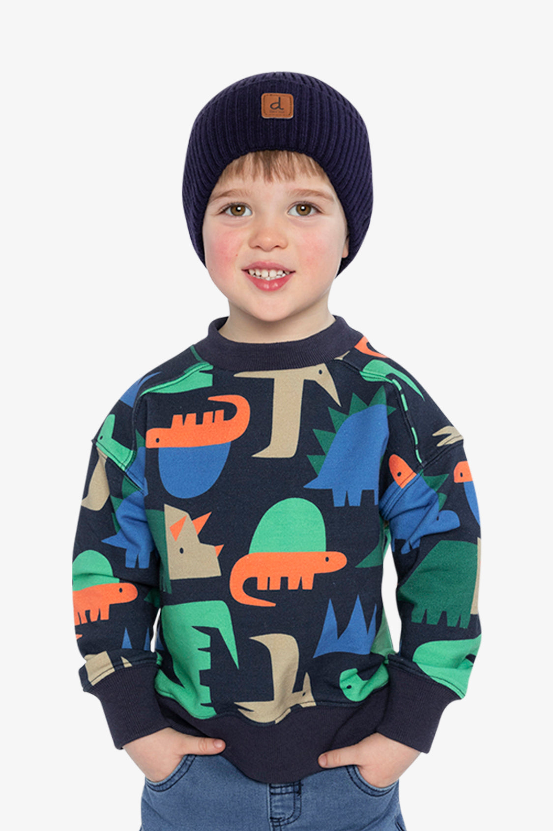 Fleece Sweatshirt Blue Dinosaur Print-1
