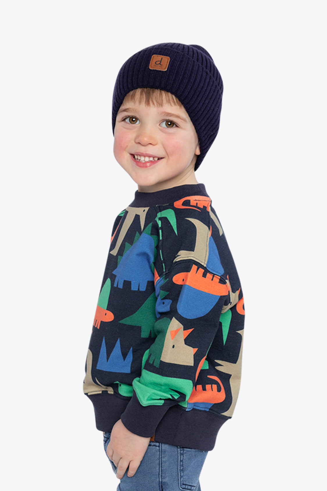 Fleece Sweatshirt Blue Dinosaur Print-2